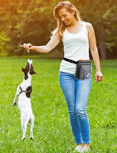 Gobeigo Leckerli-Tasche für Hunde + 8 Tassen und Trainings-Clicker + integrierter Kotbeutelspender + 3-Weg-tragbarer Out